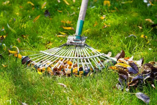 Exclusive-Lawn-Care-Leads--in-Anchorage-Alaska-exclusive-lawn-care-leads-anchorage-alaska-7.jpg-image