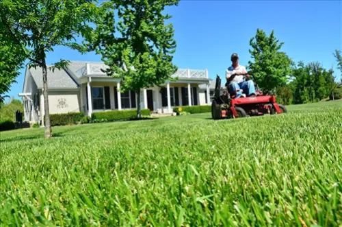Exclusive-Lawn-Care-Leads--in-Arlington-Texas-exclusive-lawn-care-leads-arlington-texas-6.jpg-image
