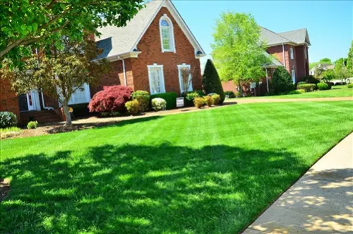 Exclusive-Lawn-Care-Leads--in-Toledo-Ohio-exclusive-lawn-care-leads-toledo-ohio-3.jpg-image
