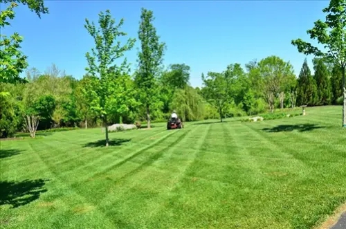 Exclusive-Lawn-Care-Leads--in-Tulsa-Oklahoma-exclusive-lawn-care-leads-tulsa-oklahoma-10.jpg-image